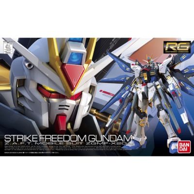 [BANDAI] RG 1/144 Strike Freedom Gundam