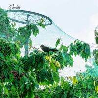 【Ready Stock】 ♠❦ D50 Ready❤PE Anti-bird Nets Garden Fence Fruit Vegetable Protective Trellis NettingxNoel