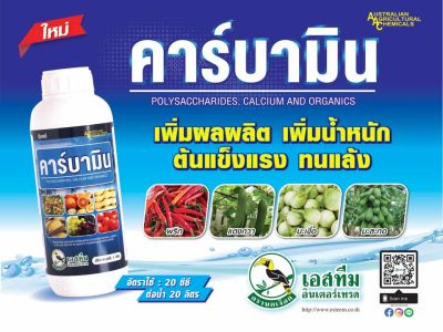 คาร์บามิน แคลเซียม โบรอน ธาตุอาหารเสริมพืช By T & T Chemical