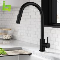 Matte Black Kitchen Faucet Cold and Hot Mixer Pull Out Two Function Deck Mounted Tap With Free Hose