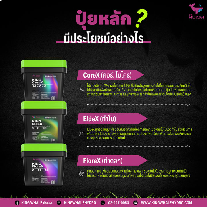 สินค้าพร้อมจัดส่ง-เซ็ทปุ๋ยหลัก-micro-grow-bloom-ปุ๋ยปลูกต้นไม้-ได้ทุกชนิด-การันตีโตเร็ว-ระเบิดยอด-ต้นแข็งแรง-king-whale-สินค้าใหม่-จัดส่งฟรีมีบริการเก็บเงินปลายทาง