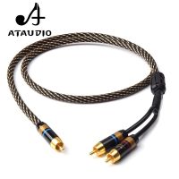 ATAUDIO HIFI RCA to 2 RCA Subwoofer  cable High Quality One Sub-2 Splitter Y RCA Cable Cables