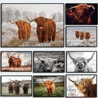 Highland สีน้ำตาลวัวภาพวาดผ้าใบพิมพ์โปสเตอร์ Wall Art ฟาร์มสัตว์สำหรับห้องนั่งเล่นตกแต่งบ้าน Cuadros - Scottish