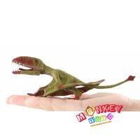 Monkey Toys - โมเดล ไดโนเสาร์ Dimorphodon เขียว ขนาด 17.00 CM (จากหาดใหญ่)