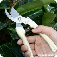 [COD] Pruning scissors picking fruit flower garden tree grafting stainless steel