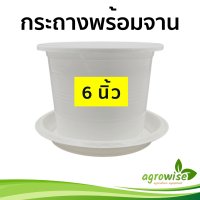 จานรอง ถาดรองกระถางต้นไม้ จานรองกระถาง สีขาว 6 นิ้ว กระถางขาว