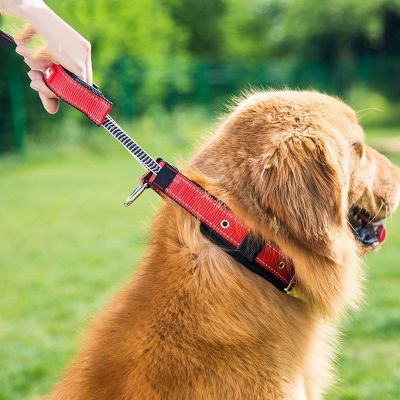 ♨℗ สายจูงกันกระแทกสำหรับสุนัขขนาดใหญ่ Amazon XPG ออกอุปกรณ์การเดินทางสำหรับสัตว์เลี้ยงสุนัขขนาดใหญ่แบบพกพาป้องกันการสูญหาย