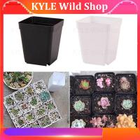 KYLE Wild Shop 10pcs Planter Pot Trays Mini Square Plastic Flower Pot Home Office Succulent Plants Nursery Pot Green Garden Tools