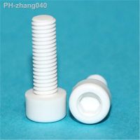 1pcs M2 M2.5 M3 M4 M5 M6 M8 Zirconia Ceramic Hex Socket Allen Bolt Screw Corrosion Resistant Insulating Inner Hexagonal Bolt Nut