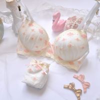 Japanese Simple Embroidery Film Cup without Steel Ring Student Girl Cute Push up Underwear Set