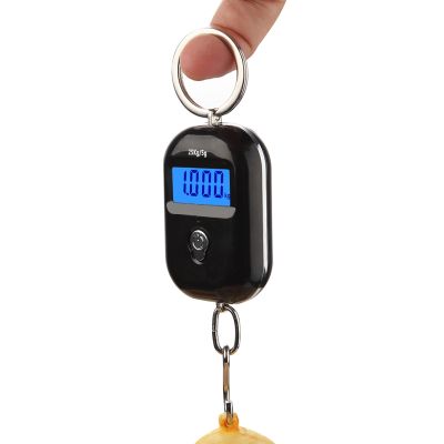 Newest 25Kg x 5g Digital Hanging Scale Mini Electronic Luggage Hook Scale LCD Backlight Kitchen Steelyard