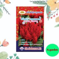 (โปร++) เมล็ดพันธ์ุดอกสร้อยไก่ เรดเรนเจอร์ แพ็ค 10 ซอง = 4,000 เมล็ด ส่วนลด เมล็ดพันธุ์ พันธุ์ข้าว เมล็ดหญ้า เมล็ดข้าวโพด