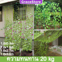 【GraceStore】ตาข่ายปลูกผัก โครงไม้เลื้อย ค้างไม้เลื้อย ต้นไม้เลื้อย ตาข่ายไนล่อน ตาข่ายพลาสติก ตะข่ายไนลอน ค้างปลูกผัก หลักไม้เลื้อย ค้างผัก ตาข่ายอวน ตาข่ายปลูกแตง ตาขายปลูกผัก ตาข่ายไม้เลื้อย ตาข่ายค้างแตง อวนค้างแตง ตาข่ายค้างถั่ว อวนปลูกผัก ตาขายผัก