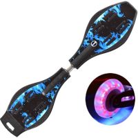 Spot parcel post Skateboard Long Board Skateboard Snake-Shaped Beginner Professional Two-Wheel Swing Youth Snake Board Vitality Board Two-Wheel Skateboard