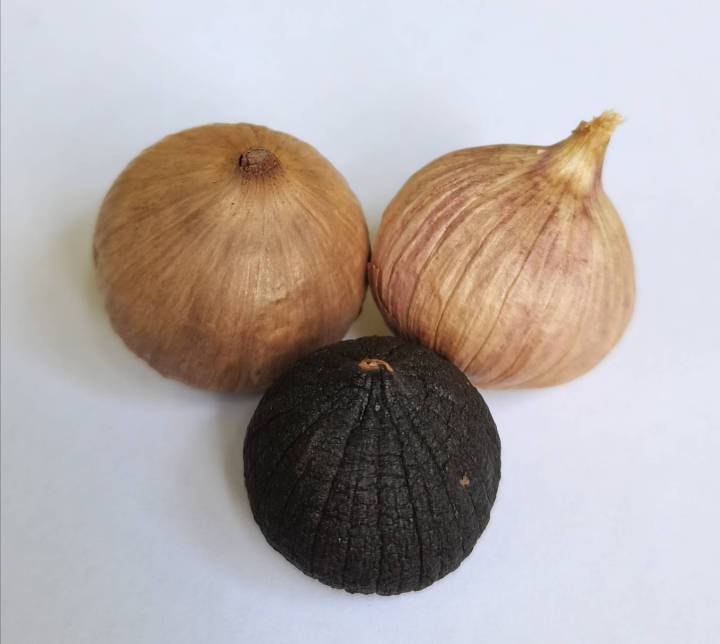 กระเทียมดำ-swiss-black-garlic-organic-100-75-กรัม-แพ็ค-3-ซอง