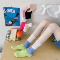 ถุงเท้าแฟชั่น ข้อยาว 4 เฉดสี  สวยๆFashion stockings korean style ripped women socks