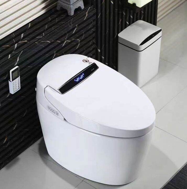 Smart Toilet MultiFunction Ceramic Bathroom Toilet Bowl Dirt Resistant