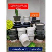 กระถางเซรามิค 2.7 นิ้ว ขาวด้าน&amp;ดำด้าน 12ชุด พร้อจานรอง 259.-