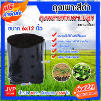 **ส่งฟรี**ถุงเพาะชำ ขนาด 6x12 นิ้ว 30กิโลกรัม ถุงเพาะกล้า ตรานกเงือก ถุงเพาะเมล็ด ถุงดำเพาะเมล็ด ถุงชำต้นไม้ ถุงใส่ต้นไม้ ต้นไม้ เมล็ด