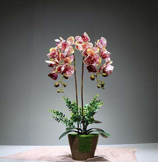 GL Bunga Anggrek Bulan maroonLatex set hiasan ruang tamu dan kantor 70