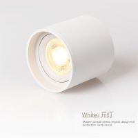 ZZOOI Led Downlight Surface Mounted Round Cob Ceiling Downlight AC220v 15W Ceiling Led Spot Lights Lamp For Kitchen Bedroom Furniture