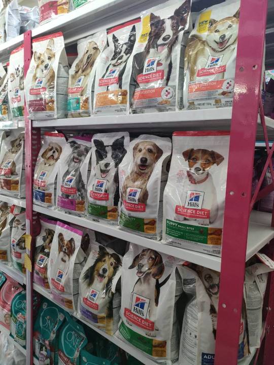 hill-s-science-diet-dog-2-kg-อาหารสุนัขเม็ด-adult-1-6-small-bites