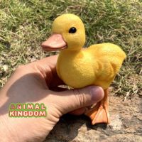 Animal Kingdom - โมเดล Ducking ลูกเป็ด เหลือง ขนาด 13.00 CM (จากสงขลา)