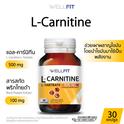 WELLFIT L-Carnitine 500 mg เวลฟิต แอล คาร์นิทีน 500 มก. พลัส+ สารสกัดจากพริกไทยดำ 100 มก.  ขนาดบรรจุ 30 แคปซูล