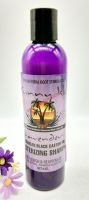 Vadesity Sunny Isle black castor oil moisturizing shampoo