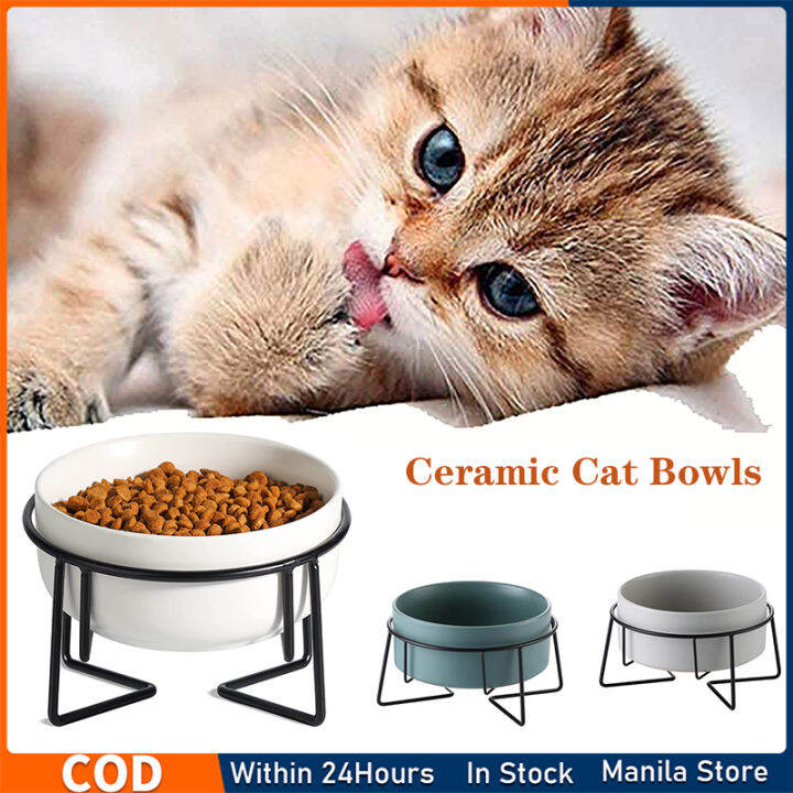 Cat Bowls Ceramic Cat Food Bowl Pet Food and Water Bowls with Iron