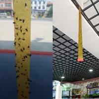 QianXing Shop Fly Sticky Trap Sticky Paper Trap Catcher Flying Insect Wasp Killer Paper Sticker