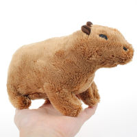 20เซนติเมตร Capybara ตุ๊กตาตุ๊กตาของเล่นยัดไส้ Kawaii การ์ตูนสัตว์ของเล่นตุ๊กตาสำหรับของขวัญวันเกิด