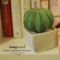 LIVELY BREEZE Dotti Cactus Ceramic Fragrance Diffuser กระบองเพชรเซรามิคกระจายกลิ่นหอม