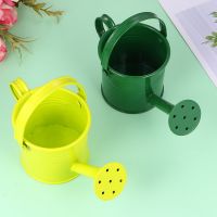 【CW】 2 Pcs Watering Pot Large Outdoor Planters Metal Kettle Indoor Small Can