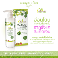 บ้านหมอละออง แชมพูสมุนไพร พลูคาว แอ๊ดวานซ์ 250ml Plu Kaow Herbal Advanced Shampoo แชมพูพลูคาว PluKaow ของใหม่ พร้อมส่ง มีสถานที่ผลิตถูกต้อง ได้รับเลขทะเบียนการผลิตตามกฎหมาย สูตรตำรับสมุนไพรพลูคาว ทองพันชั่ง รางจืด พญายอ ซองแมว