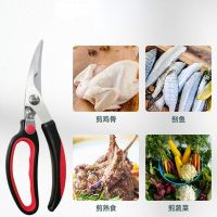 Stainless Steel Anti-skid Handle Multi-functional Kitchen Scissors Household Fish Bone Chicken Bone Scissors Sharp Scissors