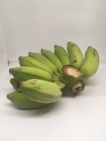 กล้วยน้ำว้า - กล้วยไหว้ กล้วยสุข กล้วยสุข กล้วยห่าม กล้วยดิบ กล้วยเชื่อม