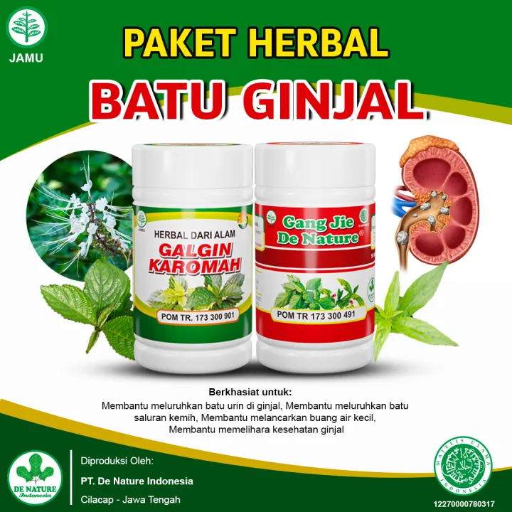 Pengobatan Herbal Obat Kencing Batu, Batu Empedu, Batu Ginjal, Ginjal ...