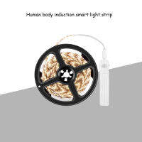 Led Lights For Room 2835 Human Body Induction Smart Strip Waterproof Recessed Spotlights Decoration Indoor Indirect Lighting