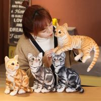 27-36Cm Simulation American Shorthai &amp;Siamese Cat Plush Stuffed Lifelike Doll Animal Pet Toys For Children Home Decor Baby Gift