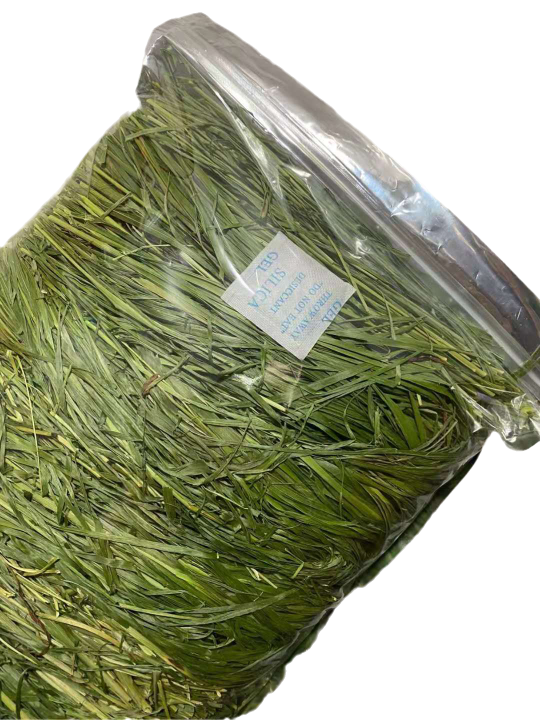 Drying Timothy grass, rabbit hay, rabbit food, Dutch pig food and