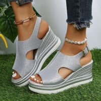 2022 New Summer Womens Fashion All-match Wedge Heel Womens Casual Open-toed Sandals Roman Platform Womens Shoes Women Shoes