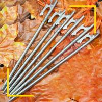 High Strength Titanium Alloy Tent Pegs for camping Stakes for Rocky/Hard Places camping equipment Wholesale Drop shipping