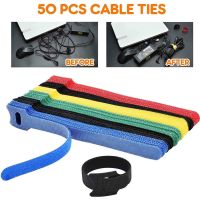 ✑▨ 50pcs Colored Reusable Ties Hook Loop Fastener T slot Nylon Magic Data Cable Management Harness Wire Strap