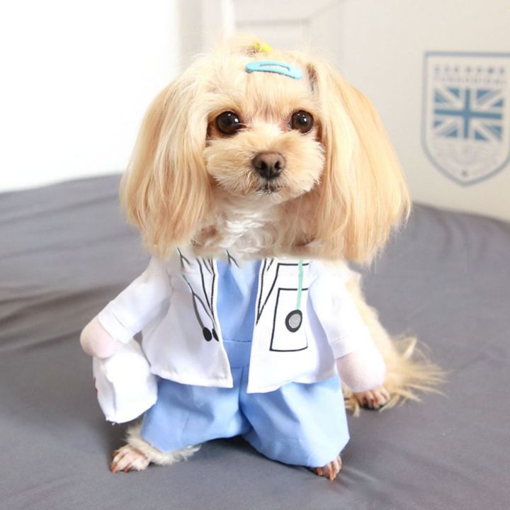 Cat doctor clearance outfit