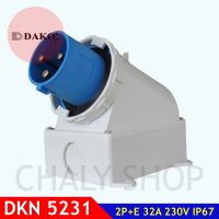 "DAKO PLUG" DKN5231 ปลั๊กตัวผู้ติดลอยกันน้ำ 2P+E 32A 230V IP67