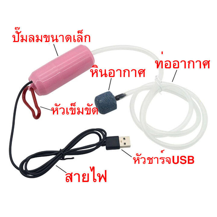 ส่งเร็ว-เครื่องปั๊มออกซิเจน-ชาร์จ-usb-ขนาดเล็ก-ปั้มออกซิเจน-ออกซิเจนตู้ปลา-อ๊อกซิเจนปลา-สําหรับตู้ปลา-ตกปลา