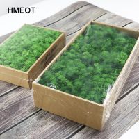 1000g Simulation Plants Eternal Life Moss /Garden Home Decor Wall DIY Flower Material Mini Garden Micro Landscape Fake Moss Gift Spine Supporters