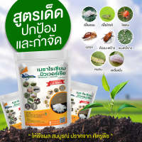 เชื้อราเมธาไรเซียม + เชื้อราบิวเวอร์เรีย ชนิดผง (Metharisium &amp; Beauveria) กำจัดไรแดง เพี้ย และแมลง ปลอดภัย 100%