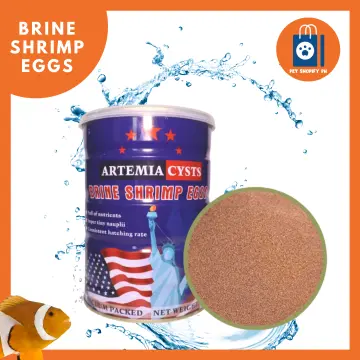 Brine shrimp hotsell eggs online